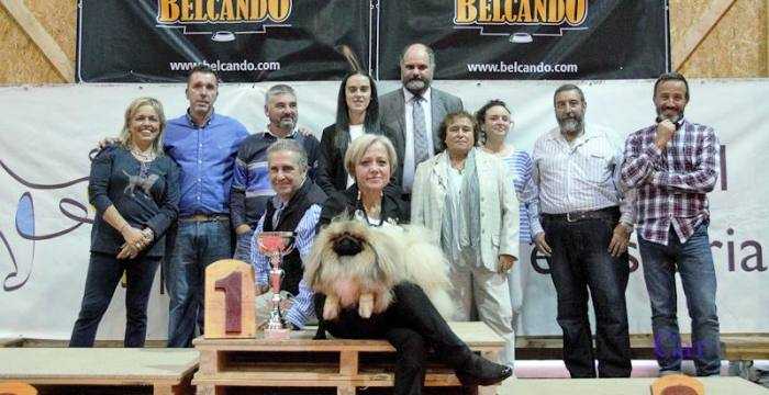 Mejor Ejemplar del Concurso Nacional Gijón